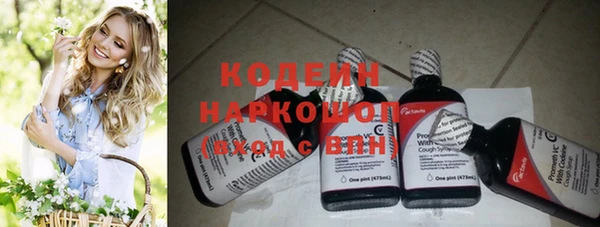 крисы Бронницы