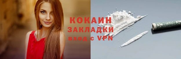 тгк Бородино