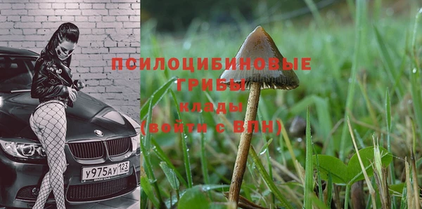 мдпв Богородицк